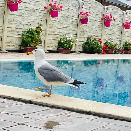 Appartement Blue Marine - Daneli Slantchev Briag