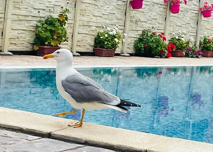 Апартамент Blue Marine - Daneli Слънчев бряг